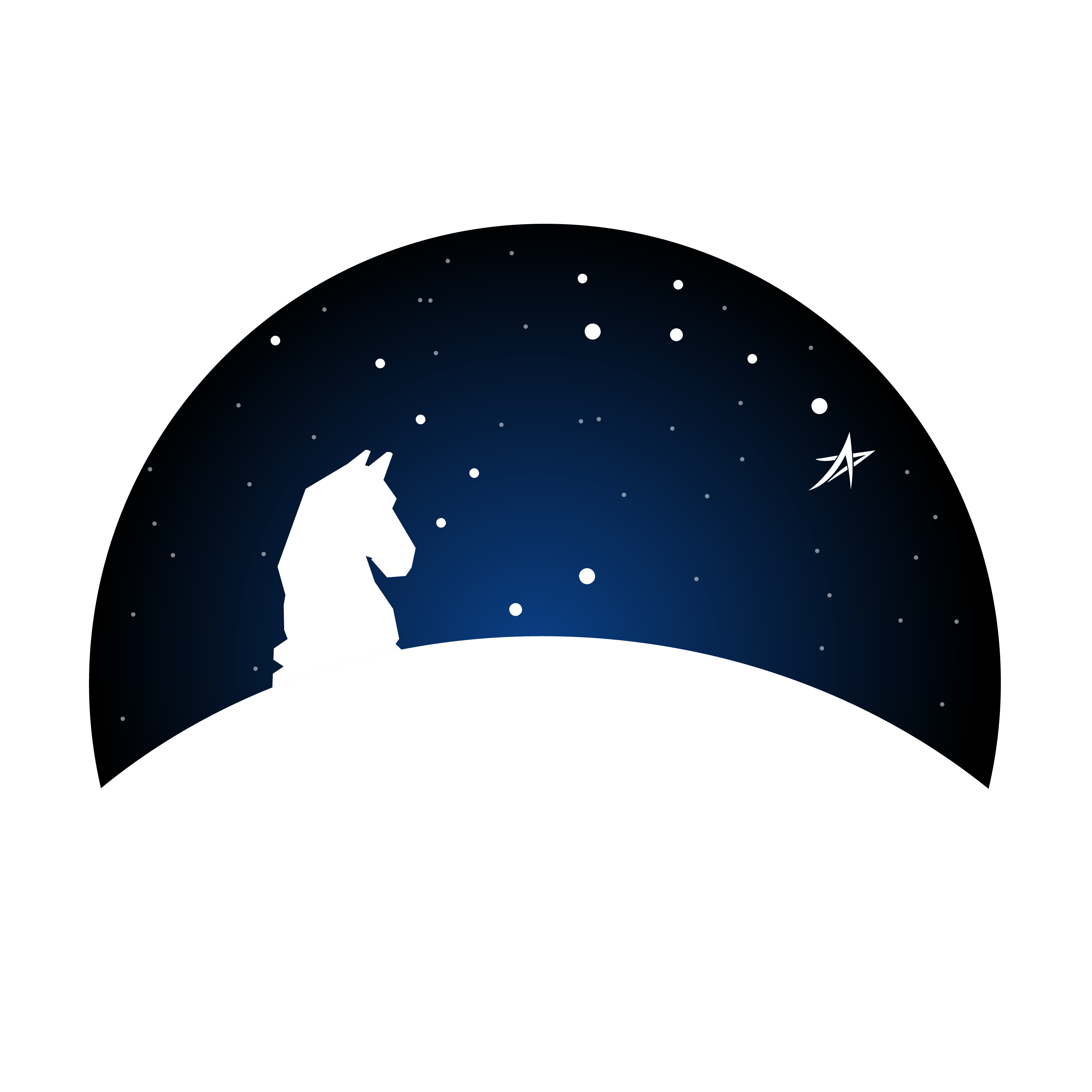 The Marrujo Foundation Logo